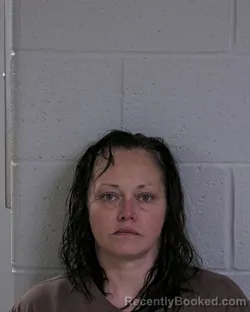 Mugshot of CHRISTINE ALLYN ADKINS booked in Logan County, Ohio on March 17, 2026