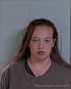 Mugshot of PAIGE ELIZABETH ALFEREZ booked in Logan County, Ohio on March 21, 2026