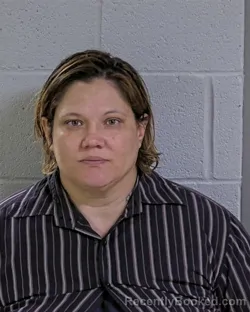 Mugshot of ALISABETH ASHLEY BRADY booked in Logan County, Ohio on March 30, 2026