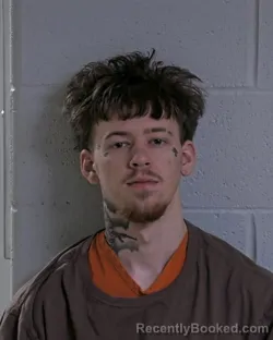 Mugshot of CHRISTOPHER JIMMY BANNISTER