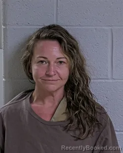 Booking photo from Logan County, Ohio