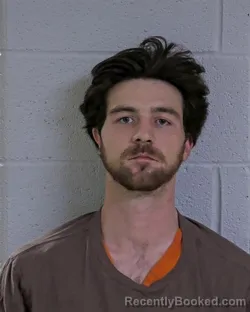 Mugshot of HUNTER NYE BROWNING booked in Logan County, Ohio on March 17, 2026