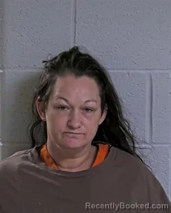 Mugshot of Stephanie Lynn Burk