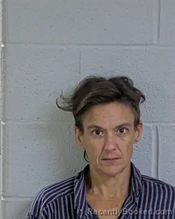 Mugshot of Stephanie Renee Brinkman booked in Logan County, Ohio on October 29, 2026