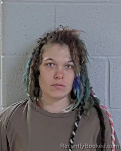 Booking photo from Logan County, Ohio