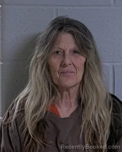 Mugshot of LORI JO COOK