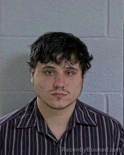 Mugshot of TY CARTER CONWELL booked in Logan County, Ohio on June 13, 2026