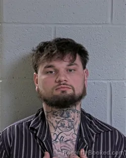 Mugshot of MASON MICHAEL DIENER