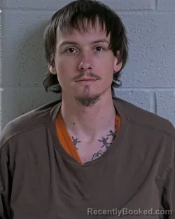 Mugshot of ANDREW FATONE