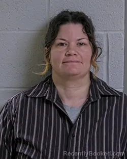 Mugshot of AMBER MICHELLE FARLEY