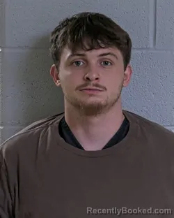 Mugshot of DAVIEN GREEN HAMILTON