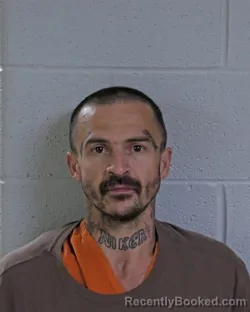 Mugshot of HARLEY DAVIDSON HENRY booked in Logan County, Ohio on April 21, 2026