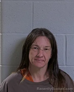 Mugshot of JEANNIE MAY HEINTZ