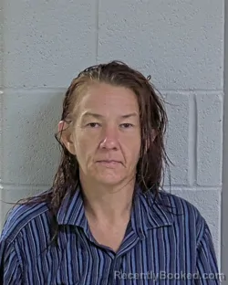 Mugshot of Jeannie May Heintz booked in Logan County, Ohio on August 17, 2026