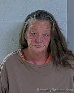 Mugshot of Patricia Sue Hoge booked in Logan County, Ohio on August 28, 2026
