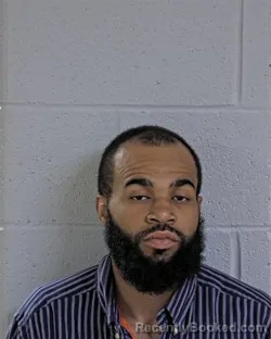 Mugshot of RAYVON LEVELLE HOLMEN booked in Logan County, Ohio on July 7, 2026