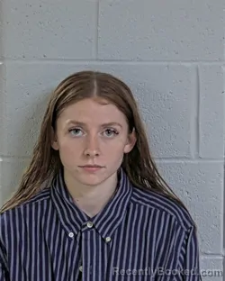 Mugshot of SARAH ABIGAIL HOWARD booked in Logan County, Ohio on July 1, 2026