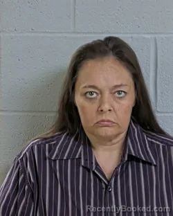 Mugshot of STEPHANIE M HAVENS booked in Logan County, Ohio on August 3, 2026
