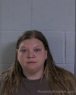 Mugshot of ANGELICA ELIZABETH JOHNSON booked in Logan County, Ohio on March 23, 2026