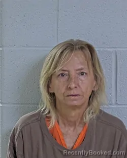 Mugshot of CINDY CAROL JONES booked in Logan County, Ohio on June 7, 2026