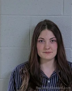 Mugshot of SHAYLEE ELIZABETH JOHNSTON-KIPKER booked in Logan County, Ohio on July 11, 2026