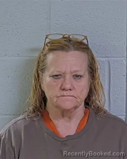 Mugshot of A MICHELLE KEELER booked in Logan County, Ohio on May 15, 2026