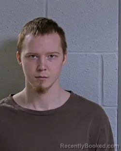 Mugshot of ALARIK PETRI MADIGAN