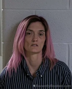 Mugshot of HEATHER ANN MCGINNIS