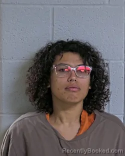 Mugshot of LYDIA STORM MOXLEY