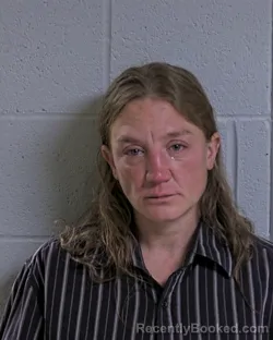 Mugshot of WENDY S MARSHALL