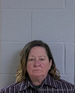 Mugshot of AMY MARIE NACE booked in Logan County, Ohio on June 13, 2026