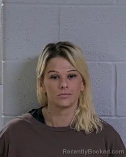 Mugshot of LINDSAY ANN NICKLES booked in Logan County, Ohio on April 22, 2026