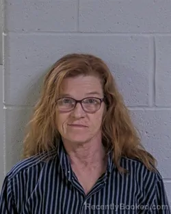 Mugshot of SALLY MARIE NEELEY booked in Logan County, Ohio on March 19, 2026