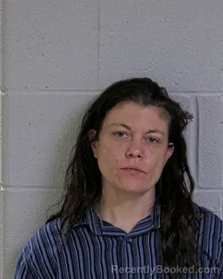 Mugshot of APRIL L POWELL booked in Logan County, Ohio on March 25, 2026