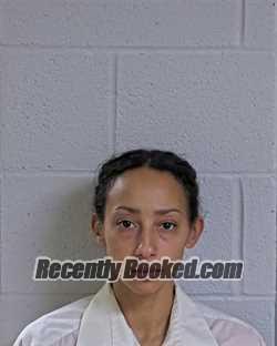 Booking photo from Logan County, Ohio