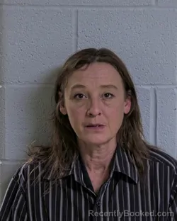 Mugshot of DIANA J SINCLAIR