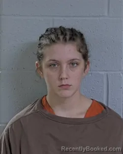 Mugshot of Hannah Lynn Sparks booked in Logan County, Ohio on October 29, 2026