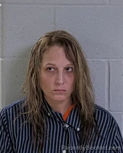 Mugshot of JESSIE RAE STEVENS booked in Logan County, Ohio on March 19, 2026