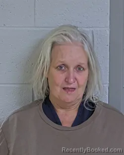 Mugshot of Sandra Aileen Stein booked in Logan County, Ohio on September 12, 2026