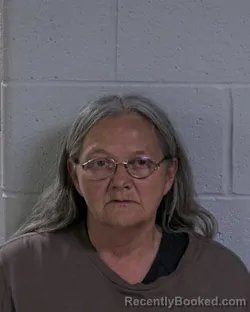 Mugshot of DEANNA LYNN WHITE booked in Logan County, Ohio on May 18, 2026