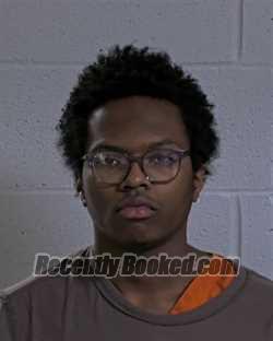 Booking photo from Logan County, Ohio