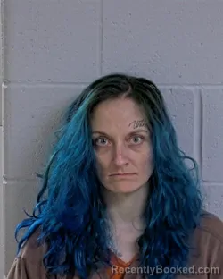 Mugshot of Kathryn Marie Lee Davida Watson booked in Logan County, Ohio on October 28, 2026