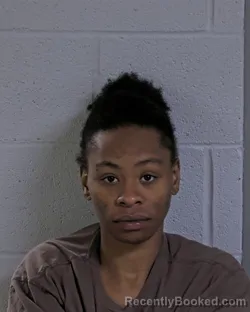 Mugshot of TASHELA WILLIAMS booked in Logan County, Ohio on April 20, 2026