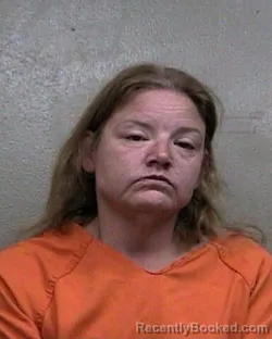 Mugshot of ELIZABETH ROSE DOMORSKI