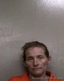 Mugshot of BRANDY LEE JOHNSON