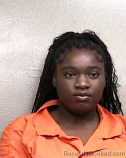 Mugshot of JMERIAH LASHAE MCCOY booked in Taylor County, Florida on April 20, 2026