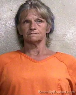 Mugshot of DANA RENAE ADAMS booked in Taylor County, Florida on May 12, 2026