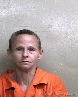 Mugshot of KRISTI LYNN JOHNSON booked in Taylor County, Florida on May 14, 2026