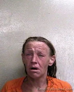 Mugshot of SANDY ANN MOCK booked in Taylor County, Florida on May 18, 2026