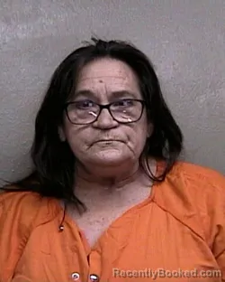 Mugshot of ROBERTA LOUISE BLYTHE booked in Taylor County, Florida on May 29, 2026